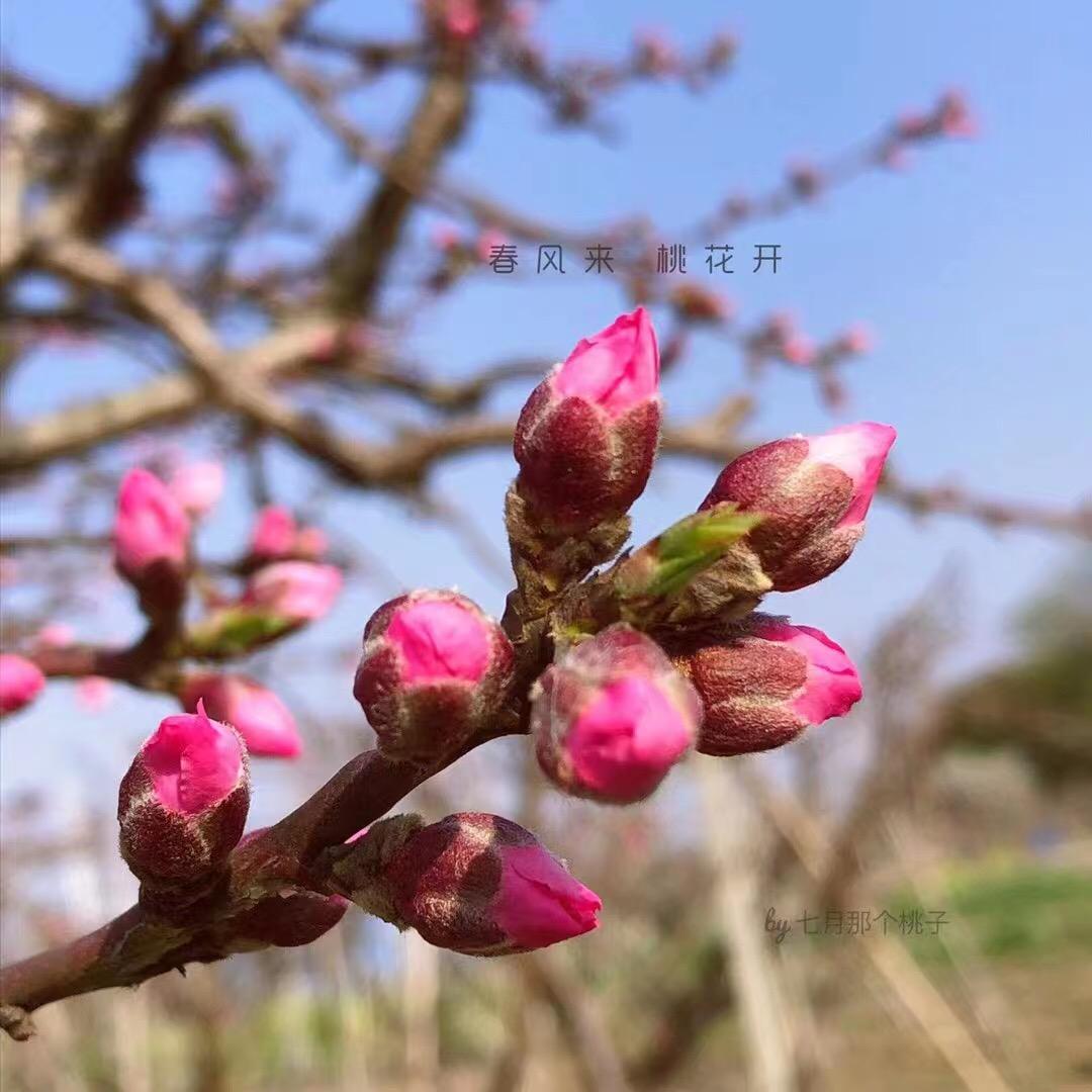 领悟