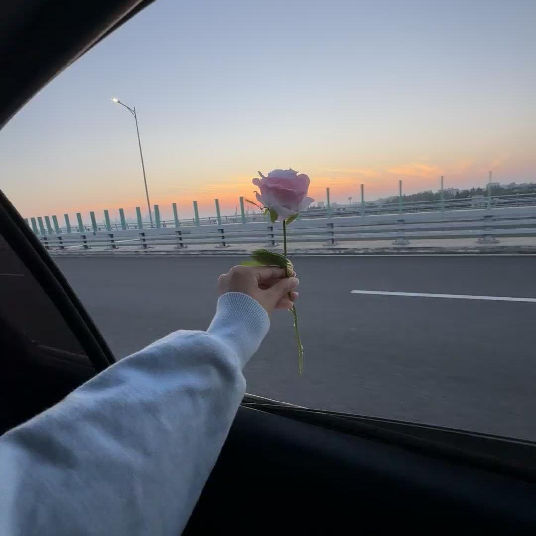 𝑫𝒂𝒚𝑫𝒓𝒆𝒂𝒎