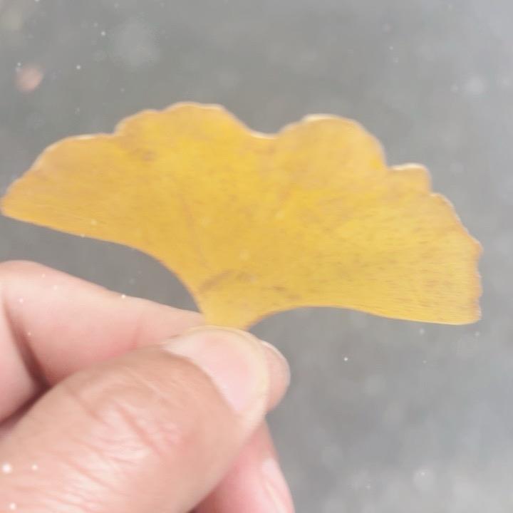 可乐不可