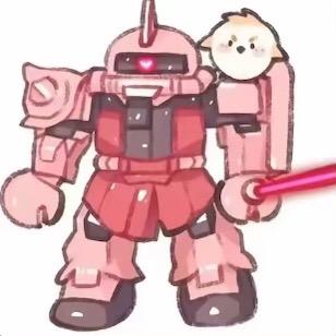 陈贝贝