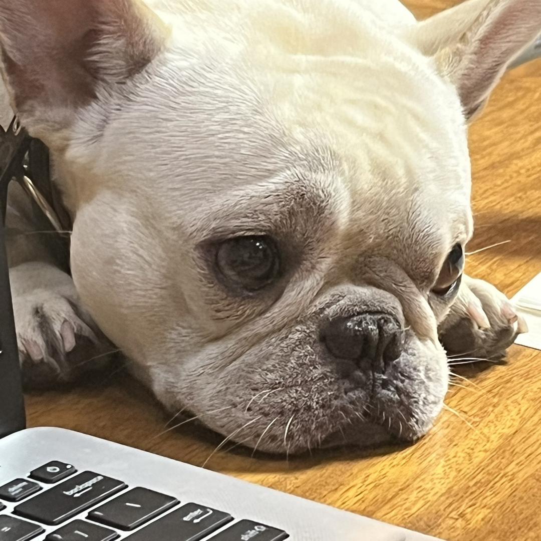 🌈林深见陆🌈