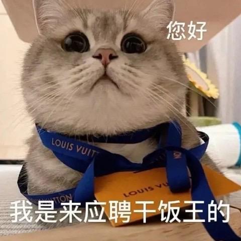 🐷头