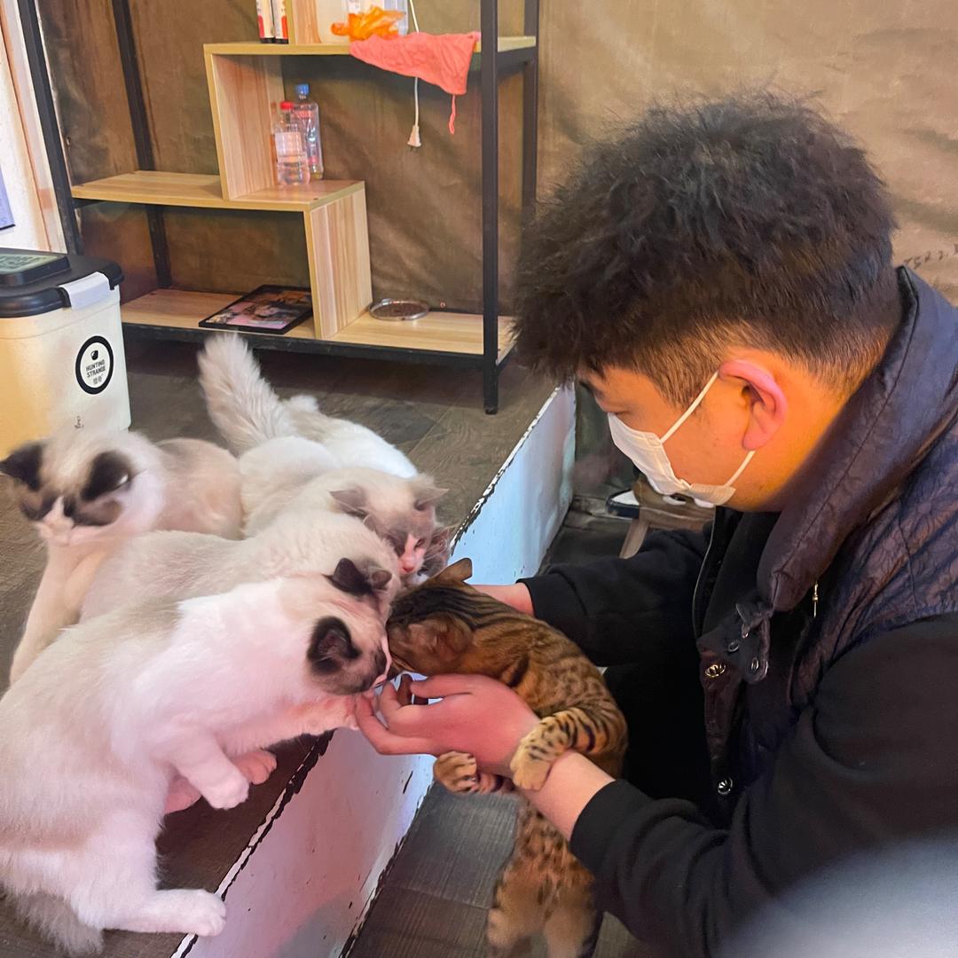 陈记和平烧烤