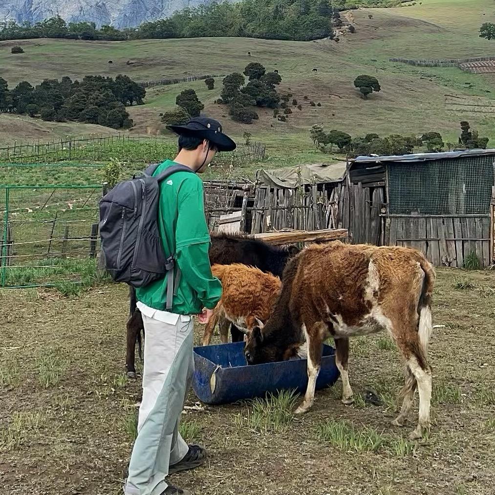 世界欠我一个xts