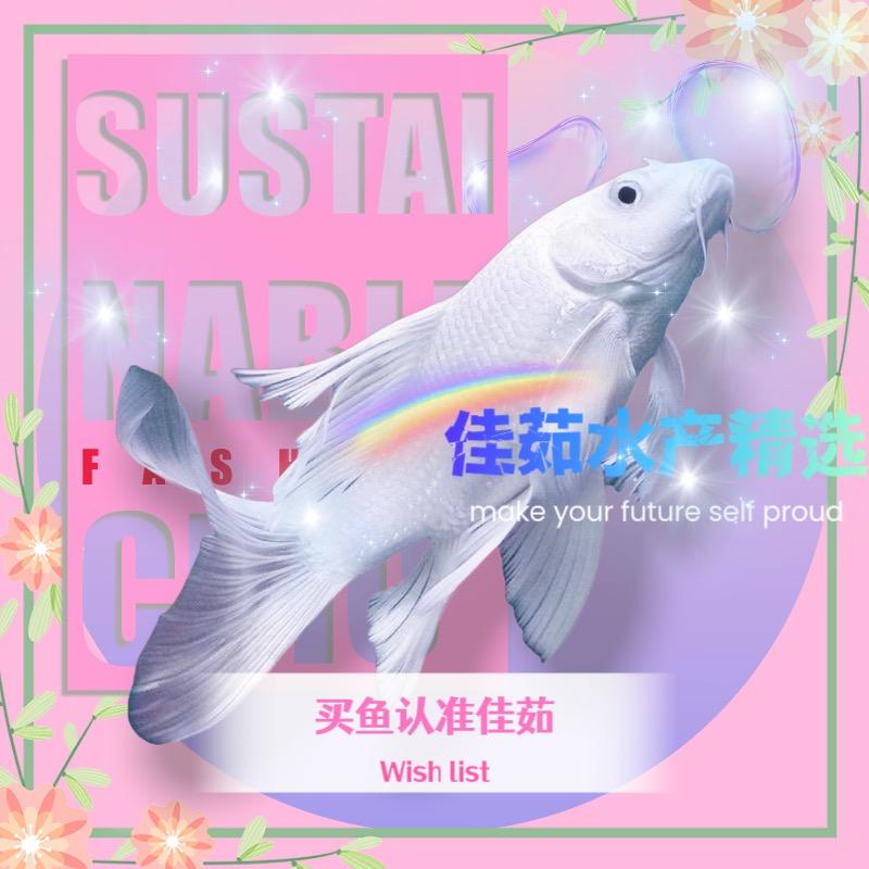 佳茹水产精选
