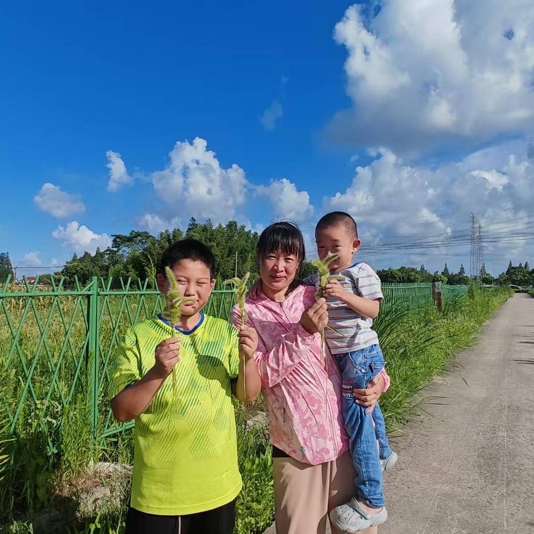 李相逢的农场生活