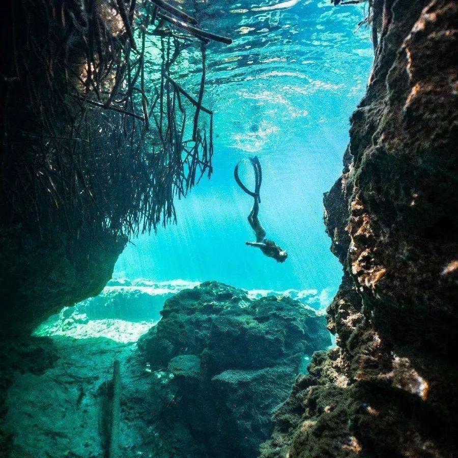 极奥游泳杨教练