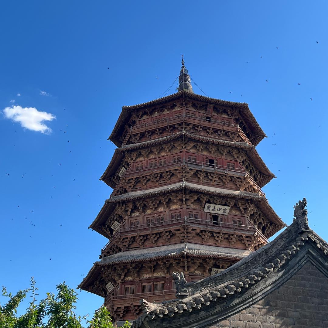 星河(黑域撤离)