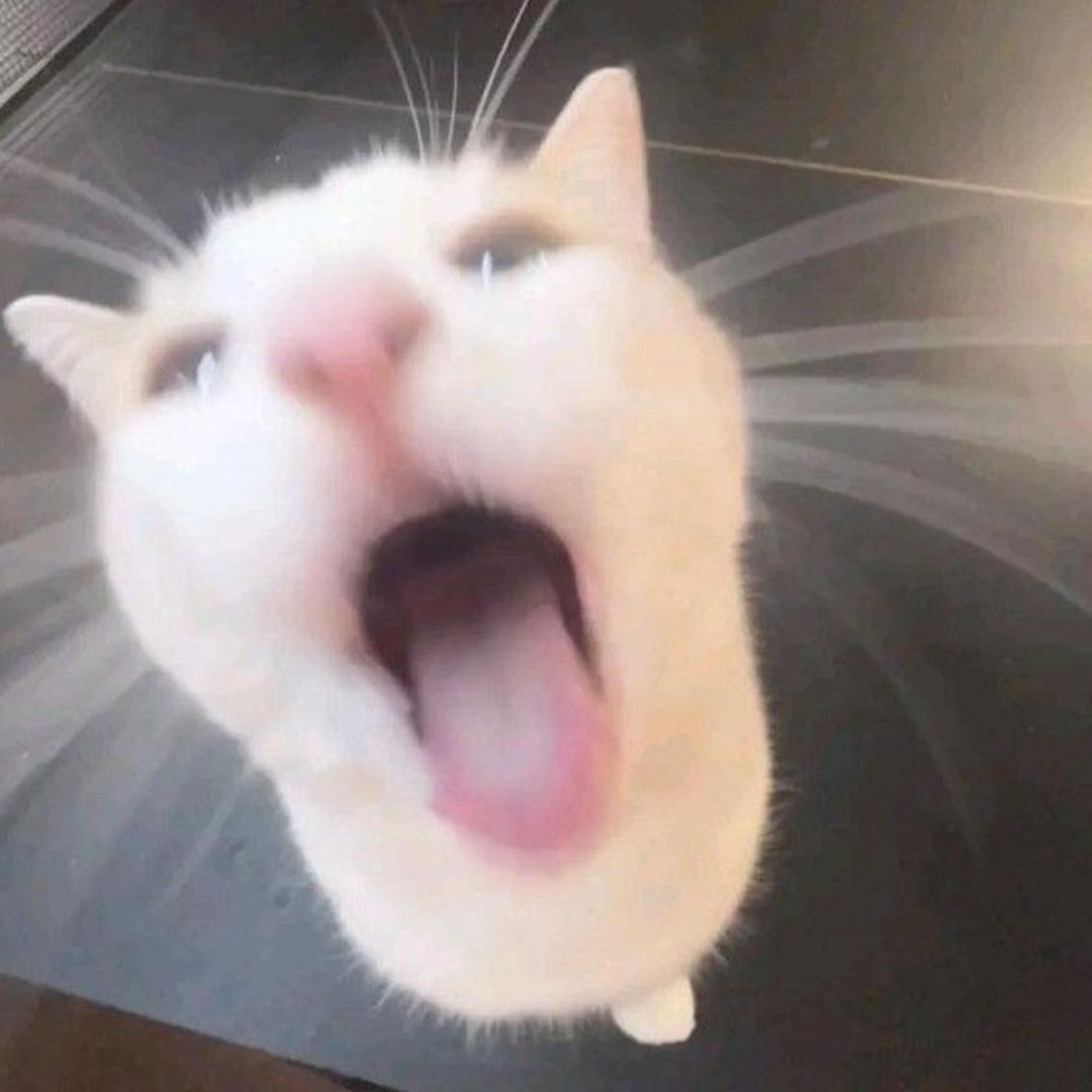 沈思前