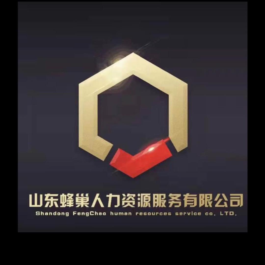 山东蜂巢人力资源