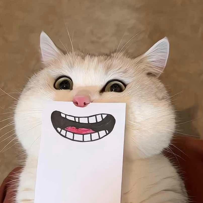 67299395189