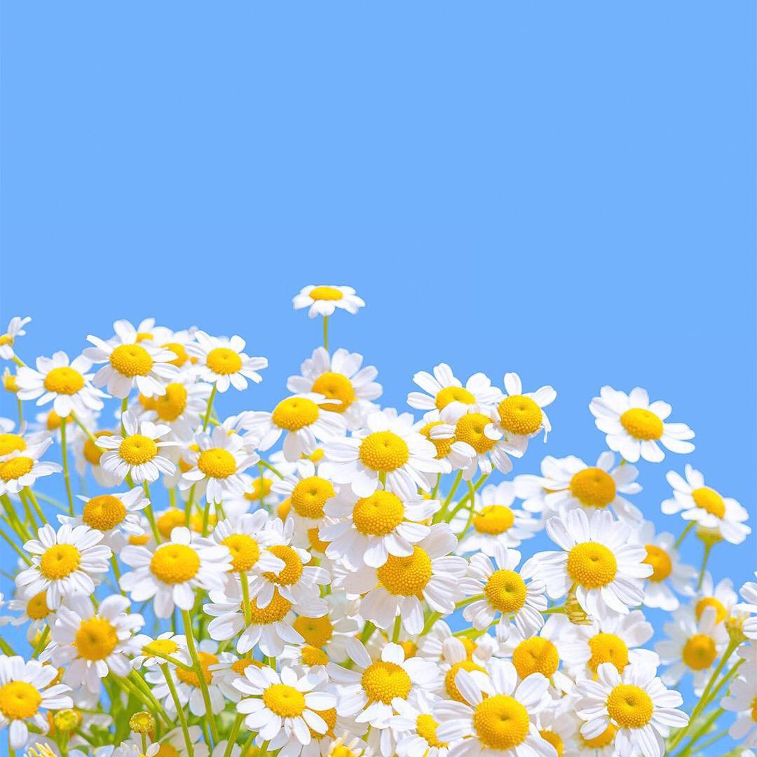 随遇而安🌈🌈