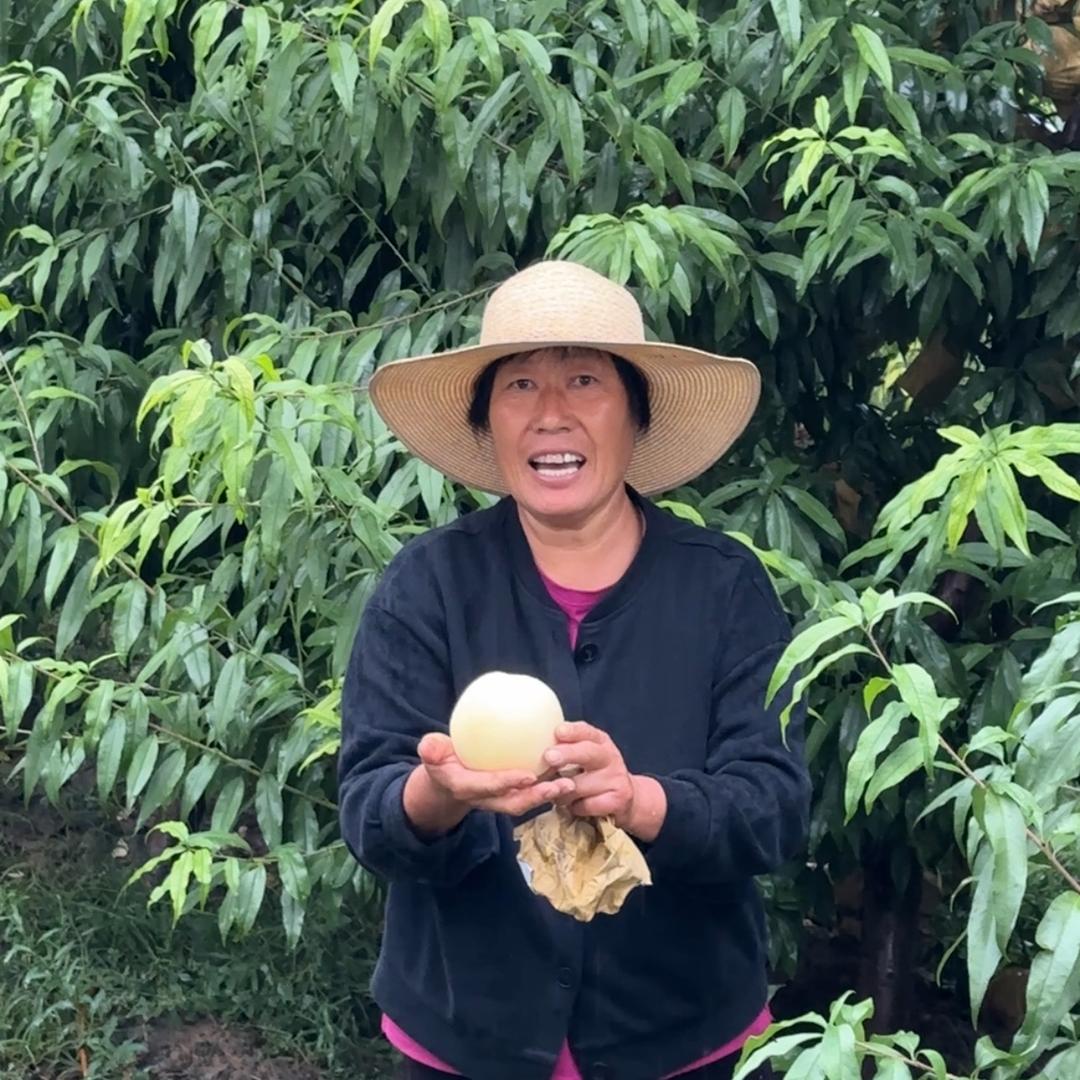 煜城奶奶的桃园