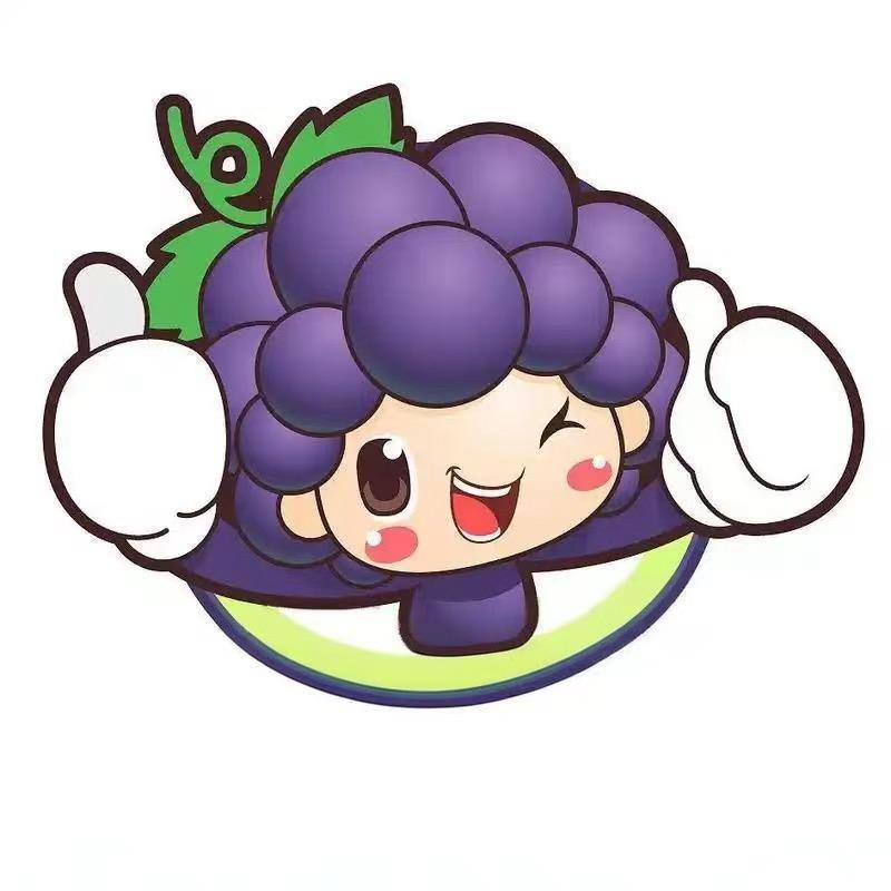 葡萄宝宝童品优选