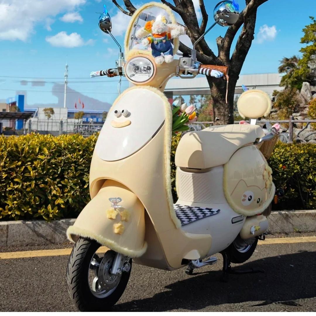 台铃电动车(牛马车行)