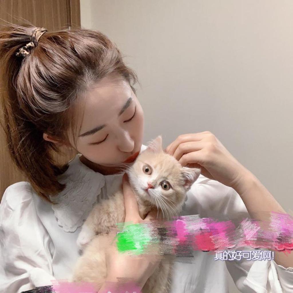 皮咔丘是只喵