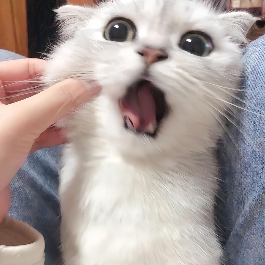 故人