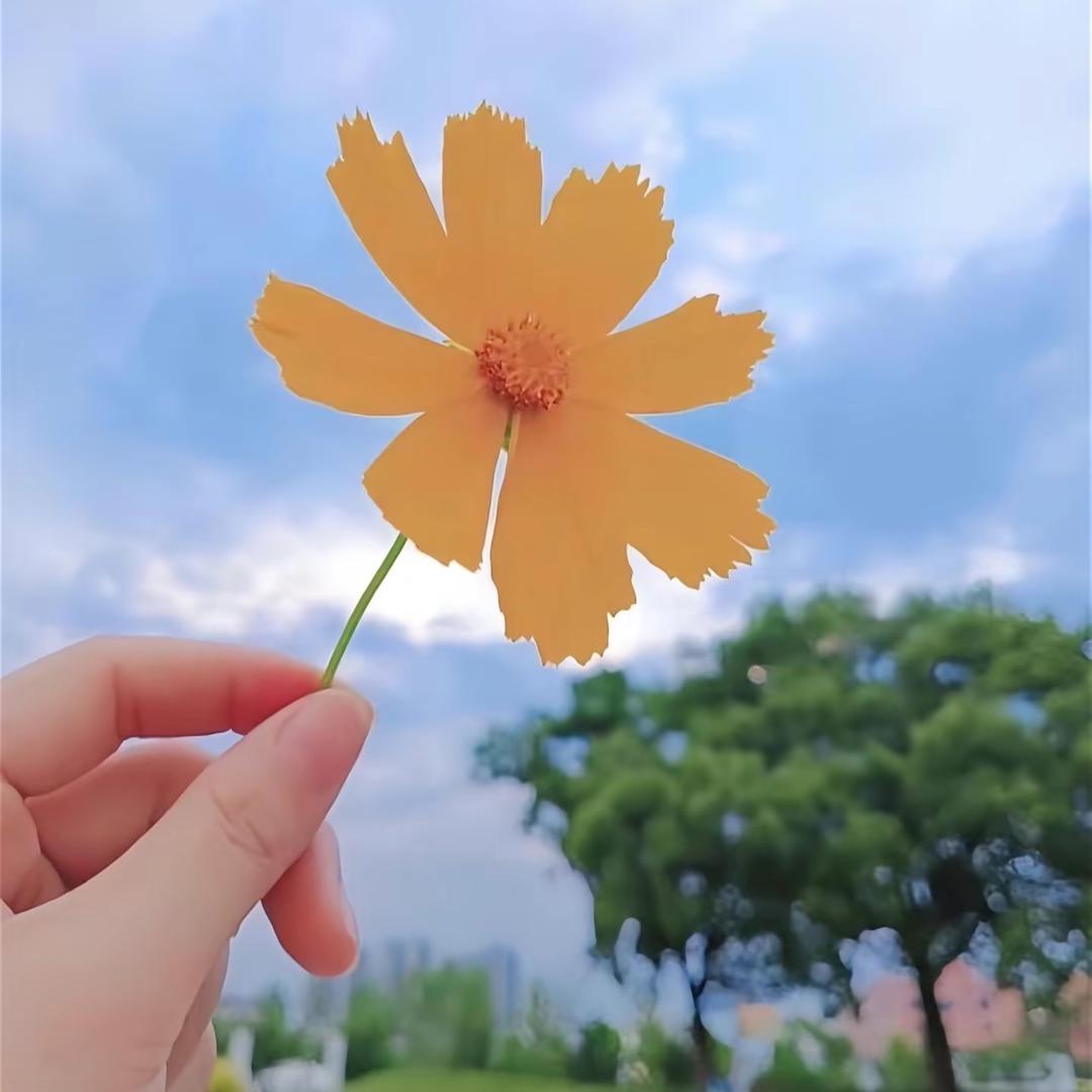 哇噻~😃
