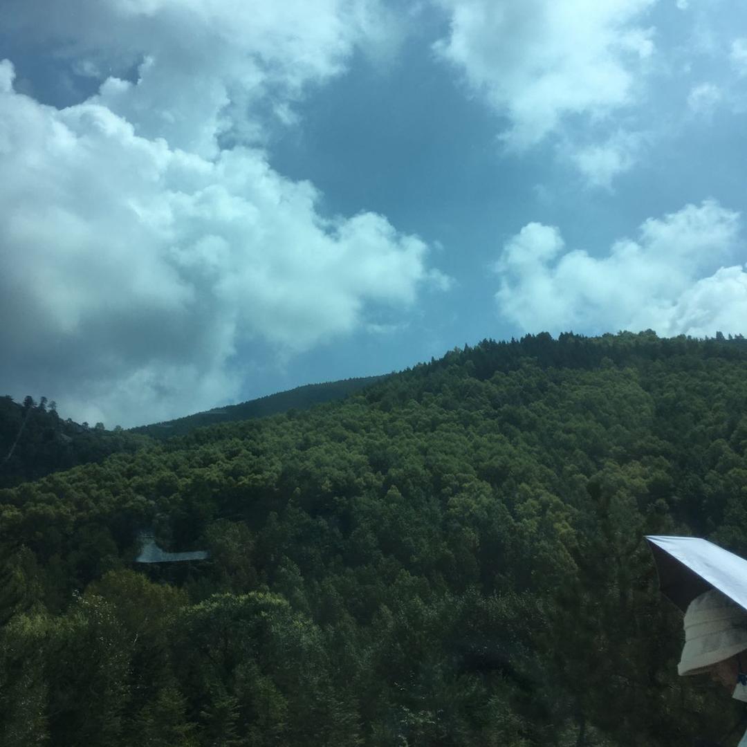 美心木门全屋定制+高端整装展馆（阿洋）