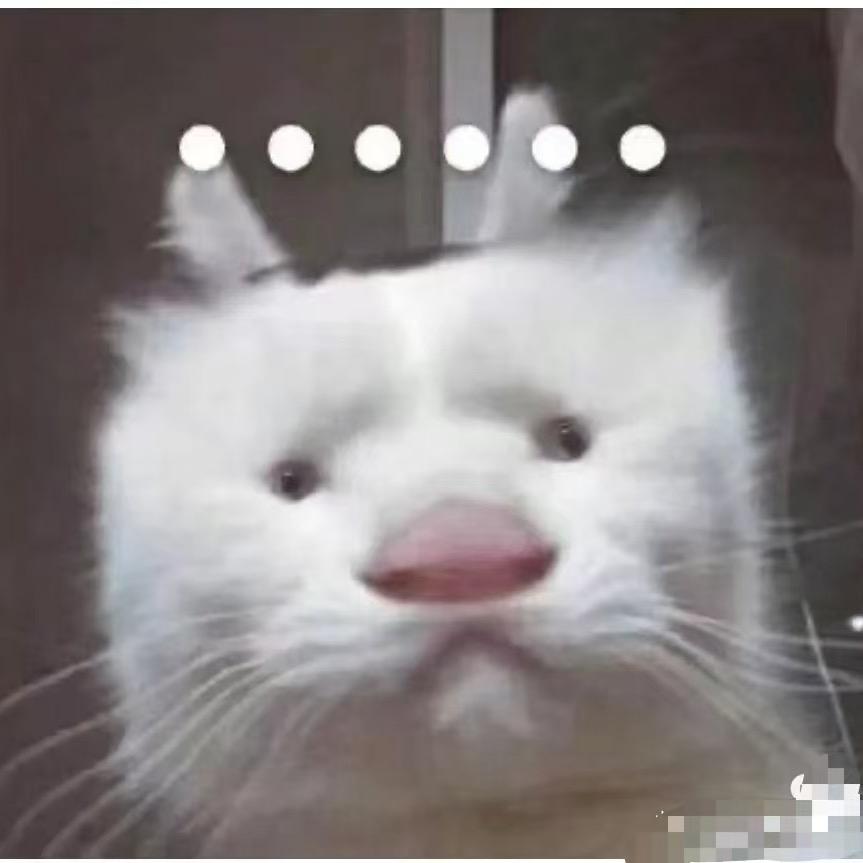 小莎莎