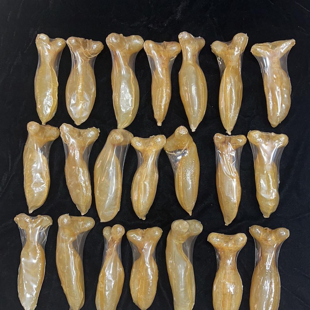 大印鱼胶滋补