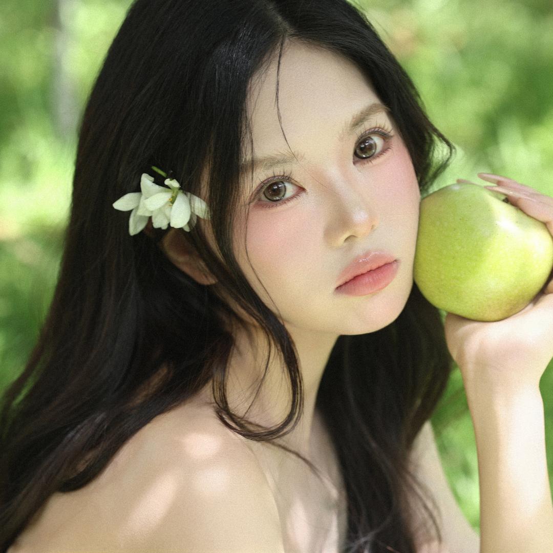 一只宝藏