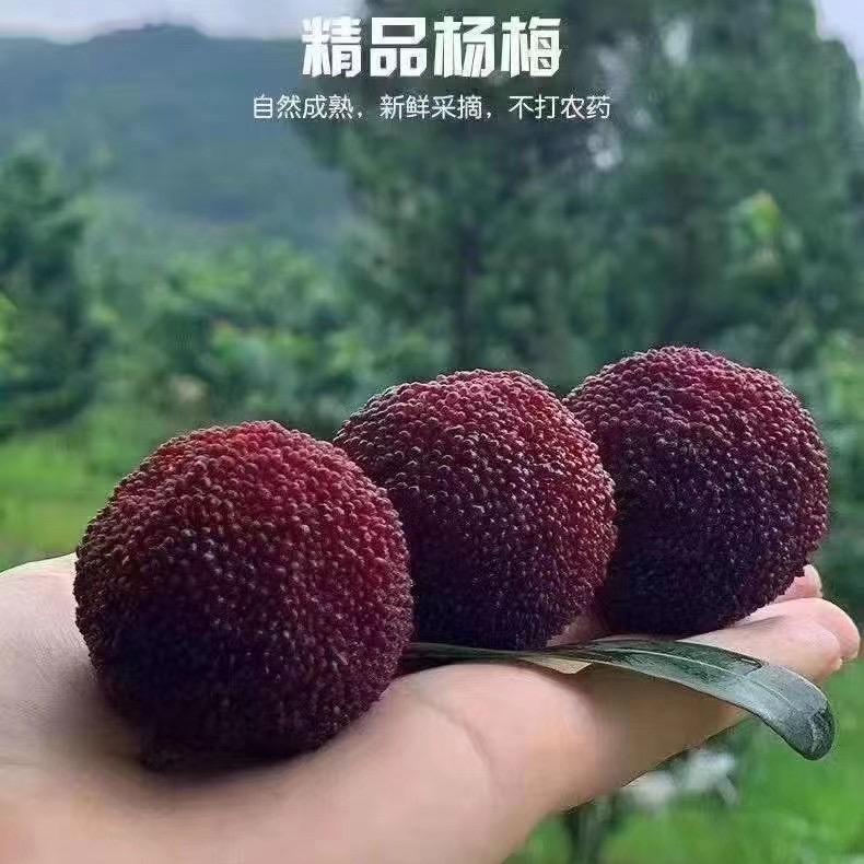 馨玥生鲜