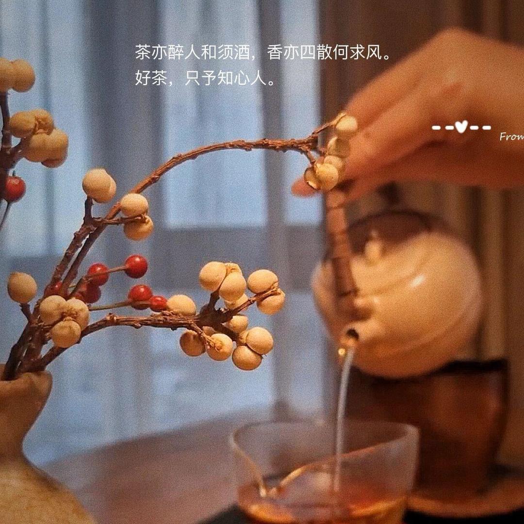 一盏茶清