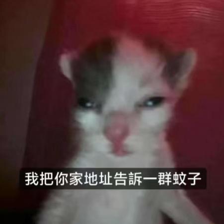 Kk_Cole