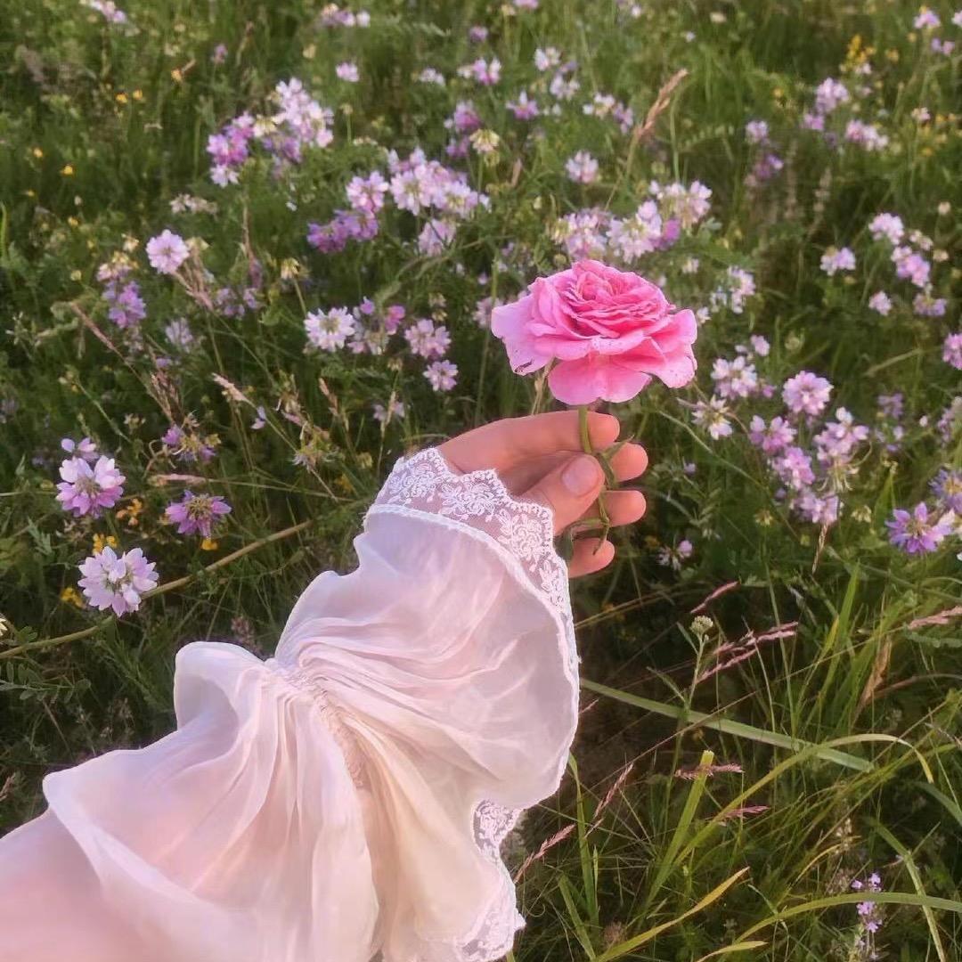 小古丽～好物分享💕