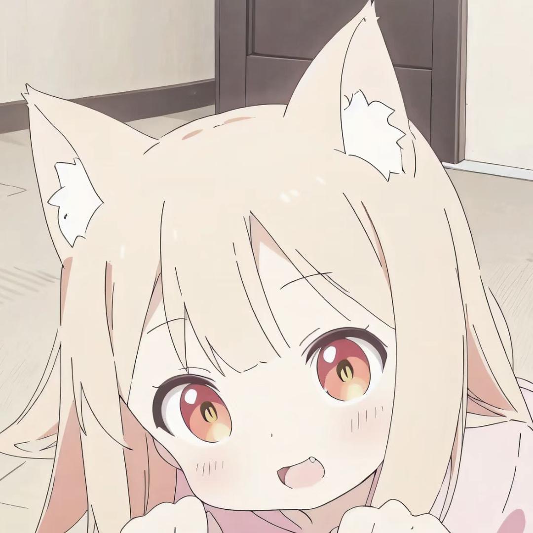 生气猫cat