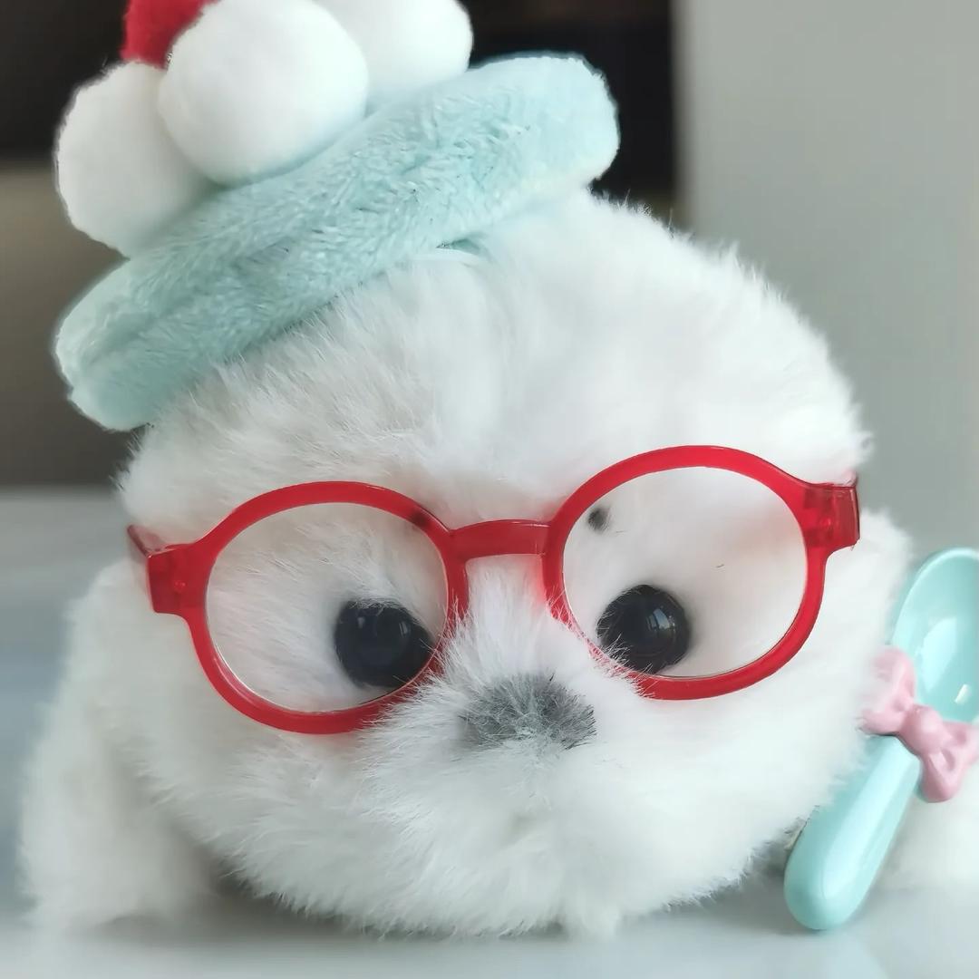 栖朝听羽