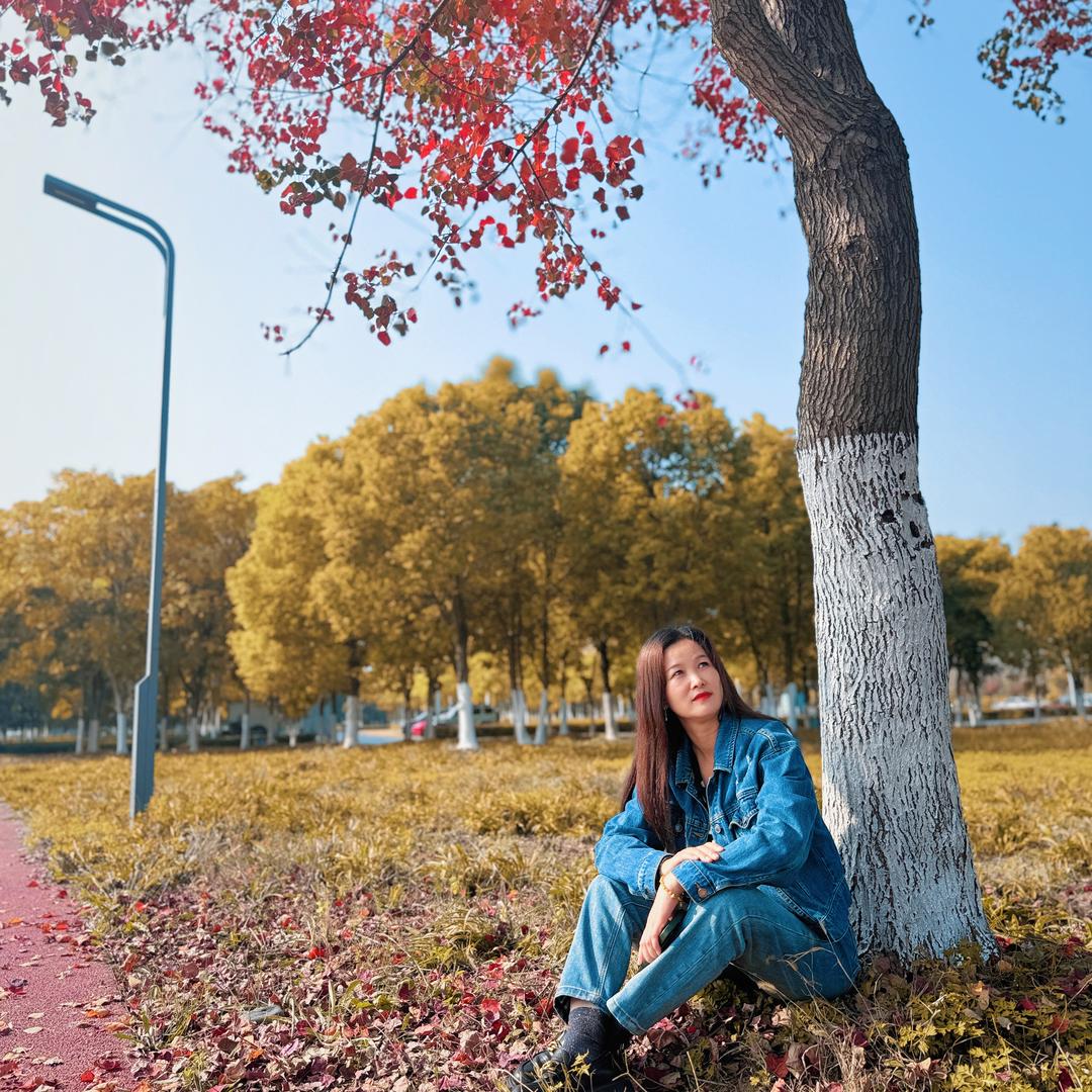 （襄阳敏姐-招经纪人）德晟源