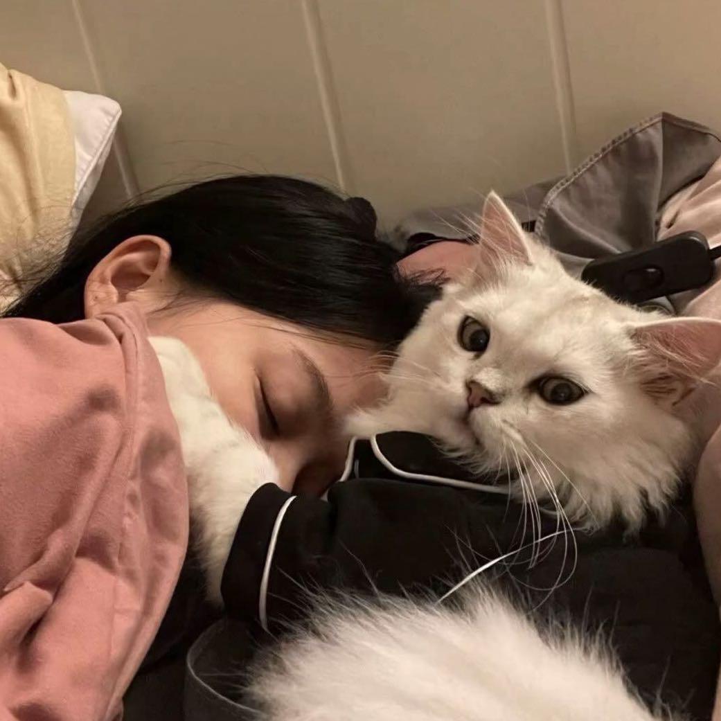 关你屁事关我屁事