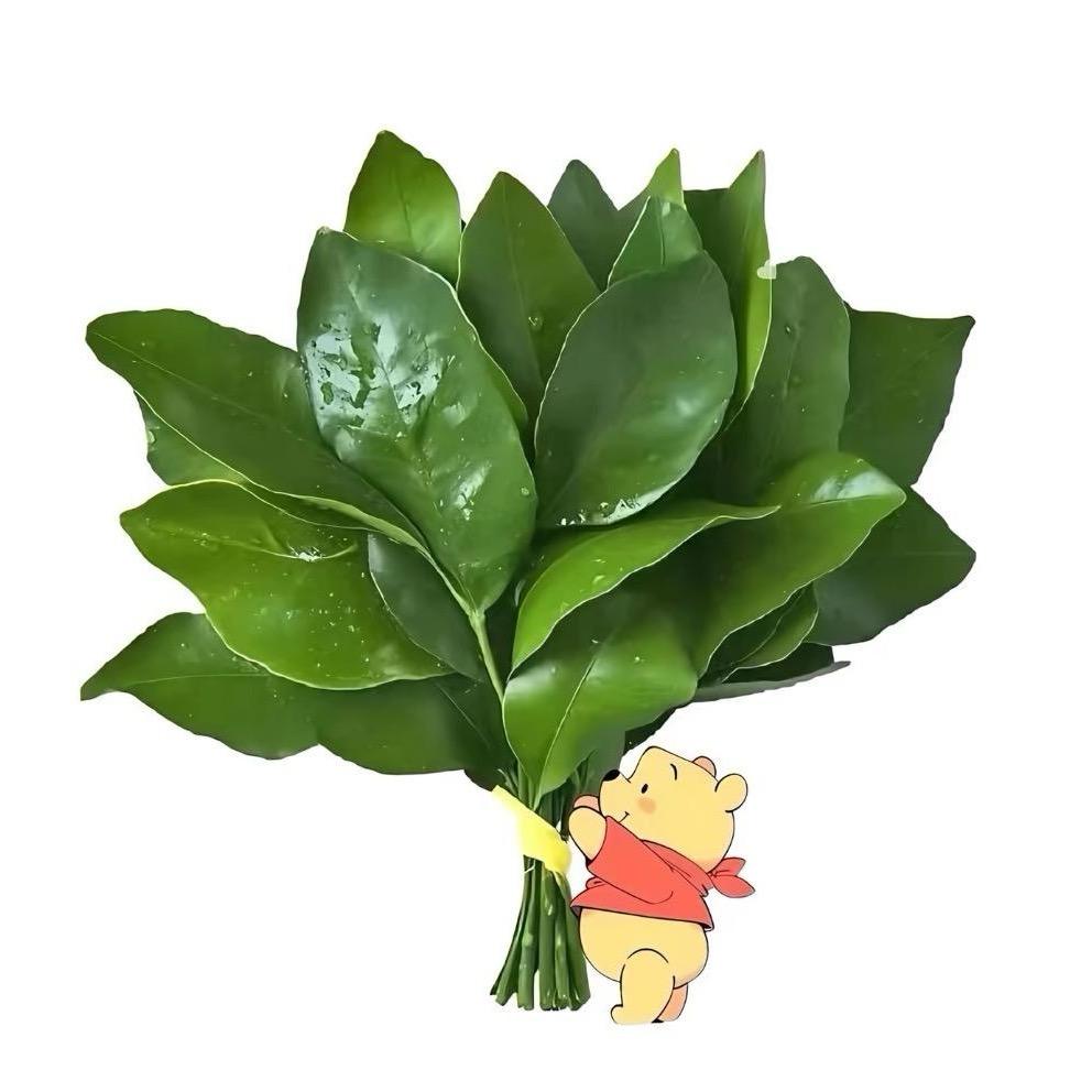 肉嘟嘟🍼.