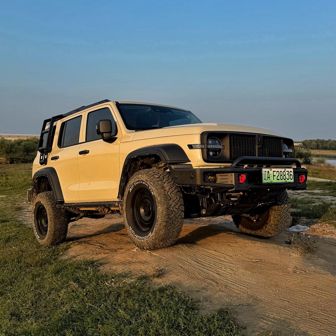 阿帅的坦克300hi4-t