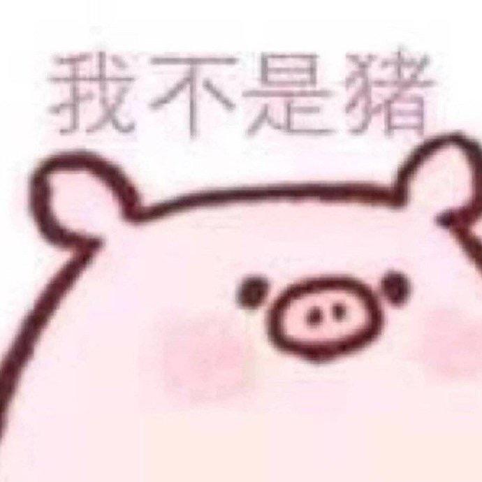 我不是猪