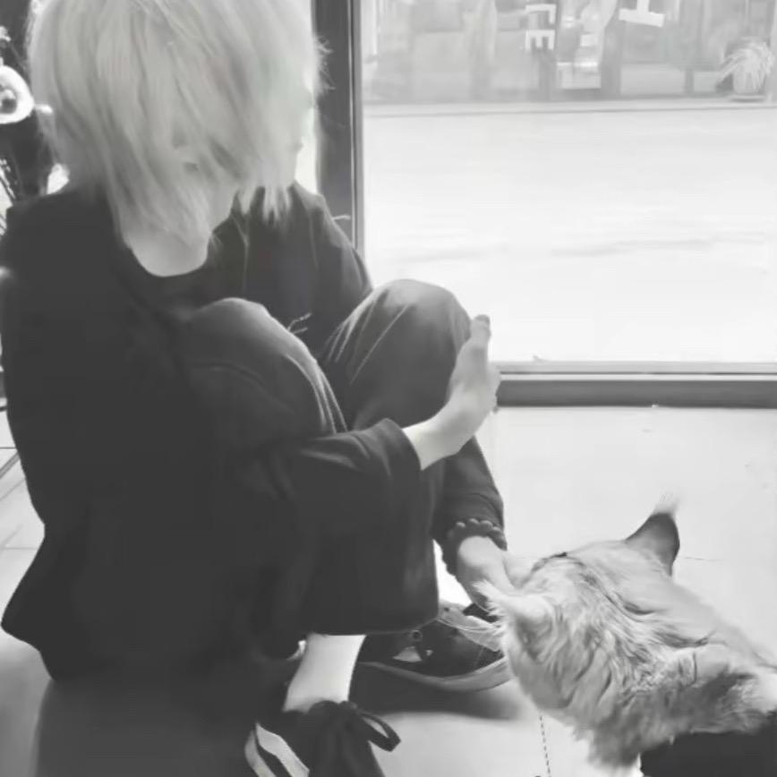 Qiicat