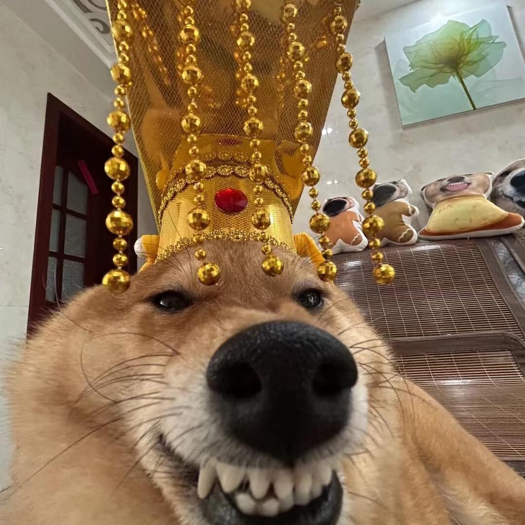 我的腿好疼
