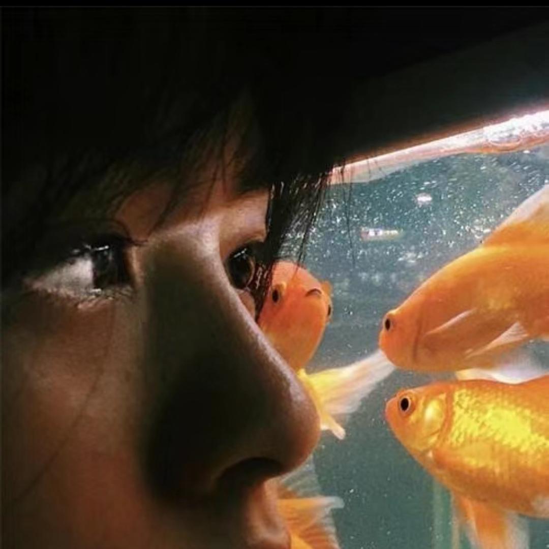 热水鱼🐠