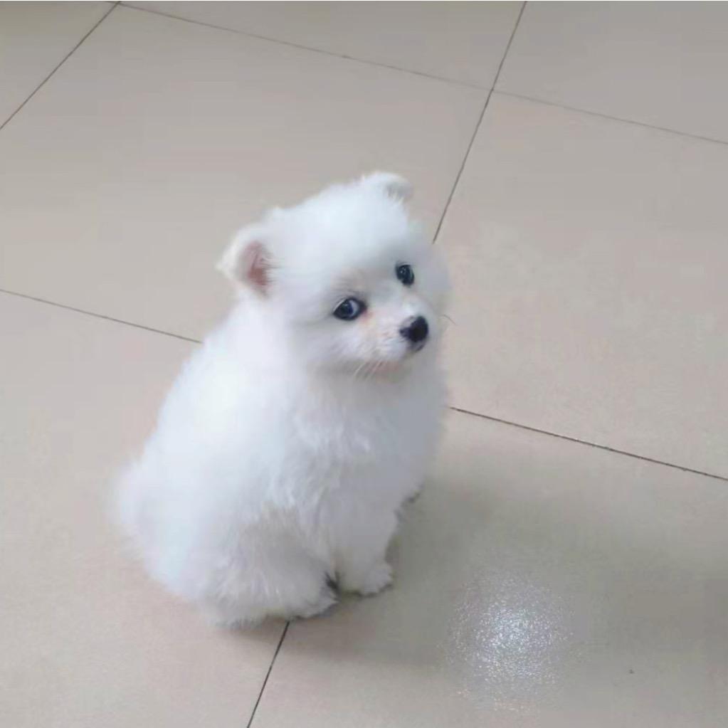 一心向善