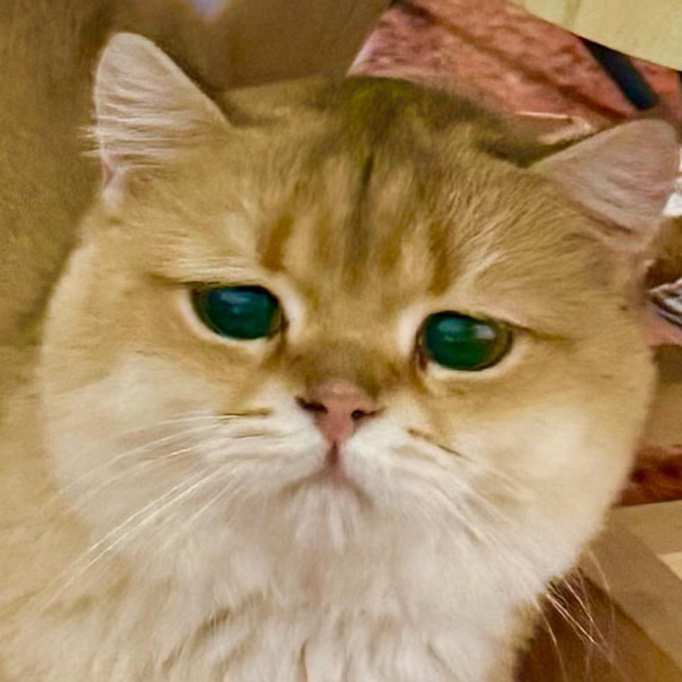 𝙊𝙣𝙚