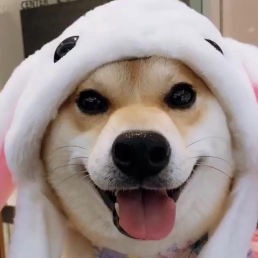 地宝地宝