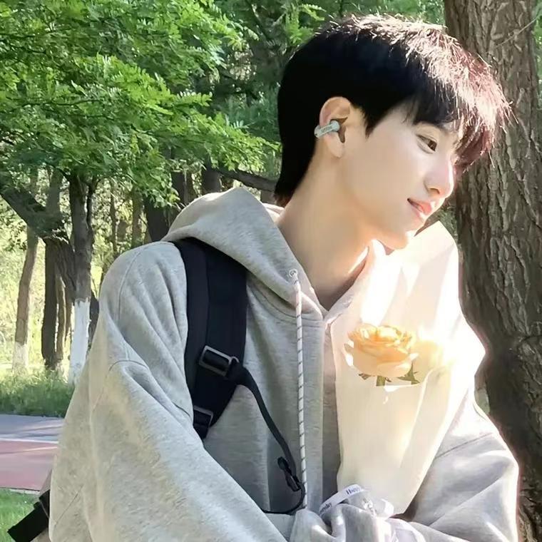 小羽（王者荣耀）