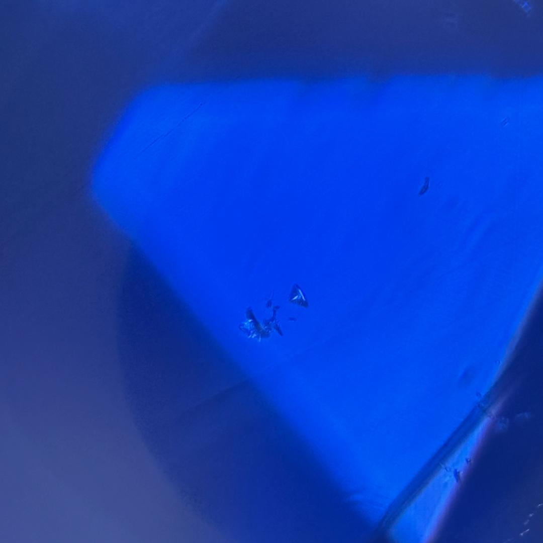路飞（第二个关闭）