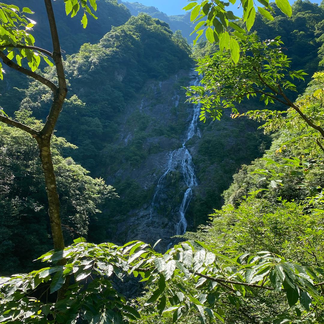 优雅永不过时、