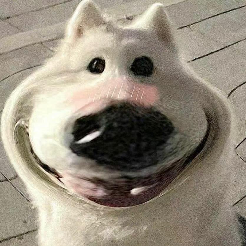 小小小魚Oᴋ̆̈