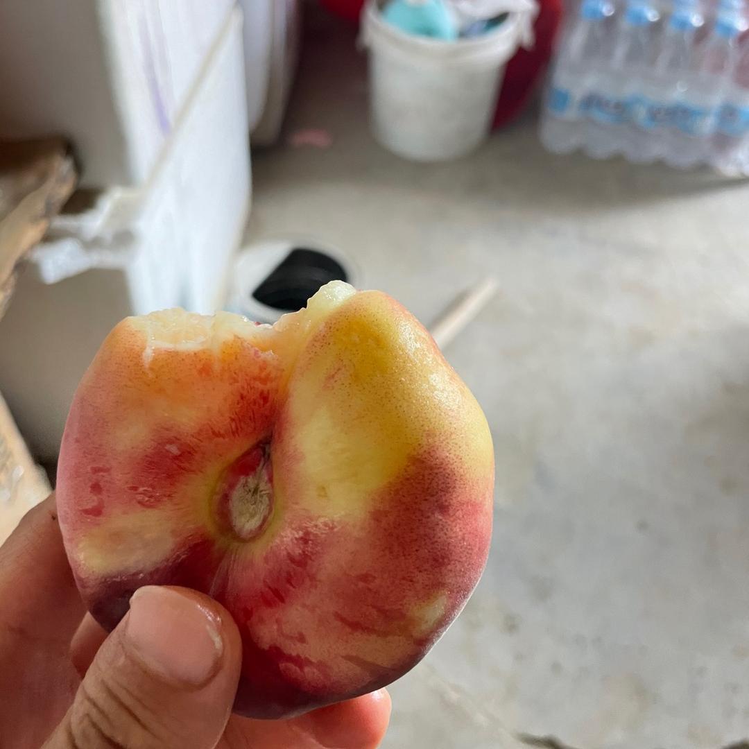 小🍊子嗨吃嗨喝