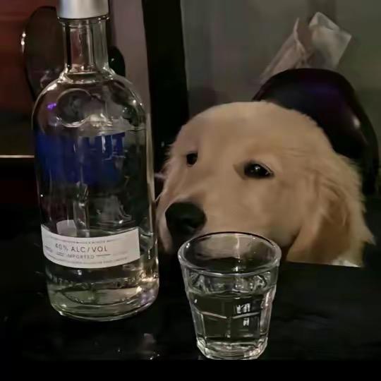 我不叫大黄