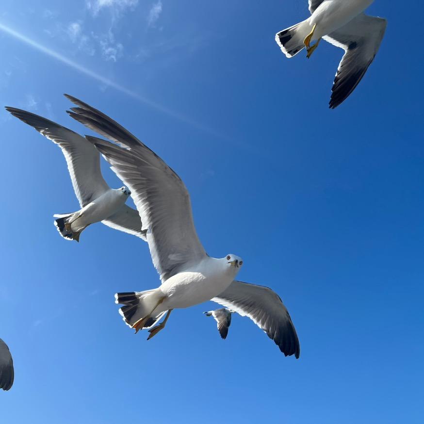 🌈帅气少年（TGD）